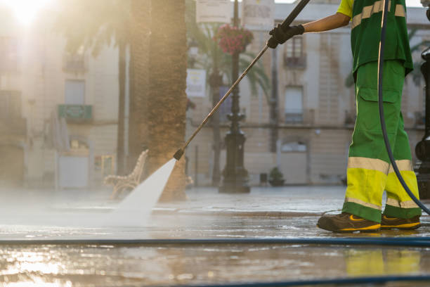 Best Driveway Pressure Washing  in Lauderdale Lakes, FL